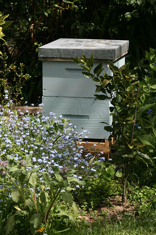 bee hive lease marlborough